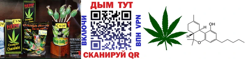 Купить закладки  Верхняя Пышма  Canna-Cookies конопля 