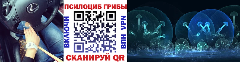 Галлюциногенные грибы прущие грибы  Купить закладки  Верхняя Пышма 